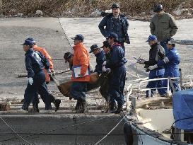 Body of missing Chinese woman in Nagoya harbor identified